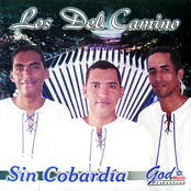 Sin Cobardía