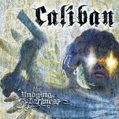 Nothing Is Forever by Caliban