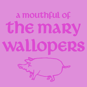 The Mary Wallopers: A Mouthful of The Mary Wallopers