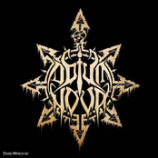 Human Larva (Single)