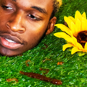 Head In The Dirt
