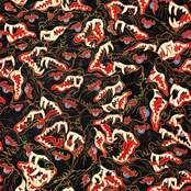 Bevvitched or Bevvildered