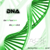 DNA