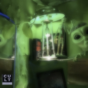 Cult Member: 2017 Archives