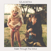 Bullet Through the Wind