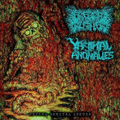 Psycho Genital Issues