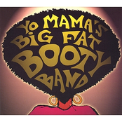 Groove by Yo Mama's Big Fat Booty Band