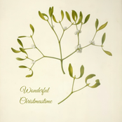 Wonderful Christmastime