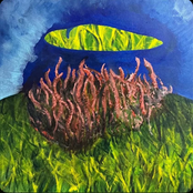 Rubber Band Gun: Record Deal With God