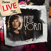 Bizarre Love Triangle by Pete Yorn