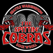 the spitt㏌' cobras