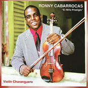 Violín Charanguero