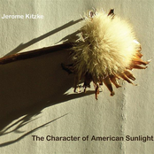 The Character of American Sunlight