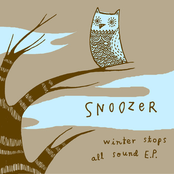 The Fuss by Snoozer