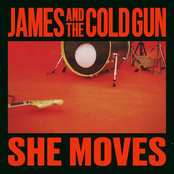 James And The Cold Gun: She Moves