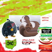 OHIO (game of the year adition)