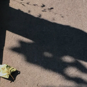 你 是我 的 宇 航 員