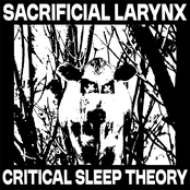 Critical Sleep Theory - EP