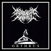 ORTHRUS