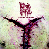 Repulsive Corpse by Putrid Offal