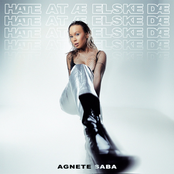 HATE AT Æ ELSKE DÆ