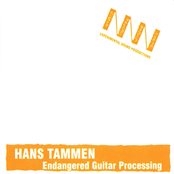 Endangered Guitar Processing