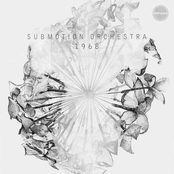 Hard To Stay by Submotion Orchestra