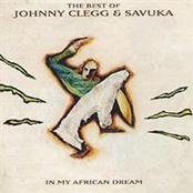 The Best Of Johnny Clegg & Savuka - In My African Dream