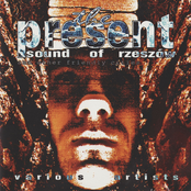 The Present Sound of Rzeszów and Other Friendly Cities