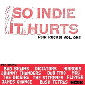 So Indie It Hurts: ROIR Rocks Volume One