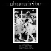 Phonotribe Project Part I