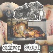 cadáver sexual