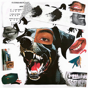 YOU LOOK LIKE YOU TREAT YOUR DOGS LIKE PEOPLE