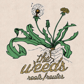 The Weeds: Roots/Routes