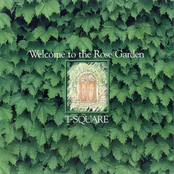 Welcome to the Rose Garden