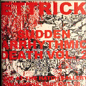 Sudden Arrhythmic Death vol. 2