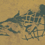 Cla-ras / Lung cycles