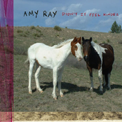 Who Sold The Gun by Amy Ray