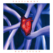 TESTIMONY