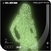 Feels so Good (feat. Kelli-Leigh) - Single