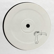 Nala: The World Is Always Ending