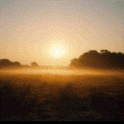 METH TEETH/MALE BONDING/MAZES SPLIT CASSETTE