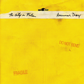 American Diary