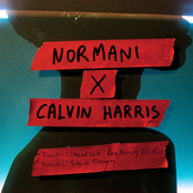 Normani x Calvin Harris Album Picture