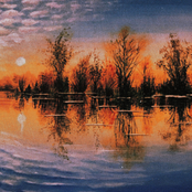 Levi.SCT: Augusts aren't grey