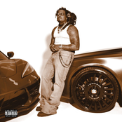The Brown Album