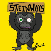 The Steinways - A Fucking Tribute Album