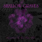 The Field Of Love by The Shallow Graves