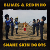 Snake Skin Boots