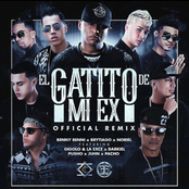 El Gatito de Mi Ex (Remix)